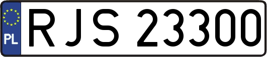 RJS23300