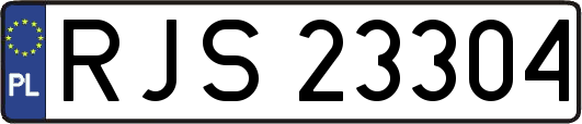 RJS23304