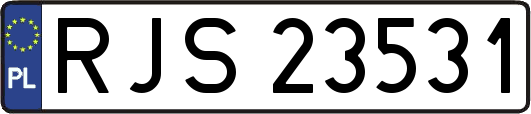RJS23531