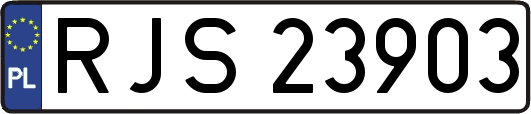RJS23903