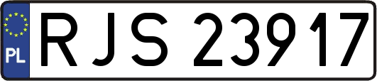 RJS23917