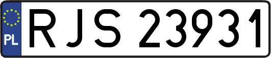 RJS23931
