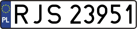 RJS23951