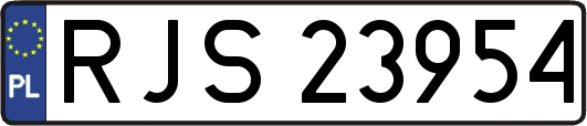 RJS23954