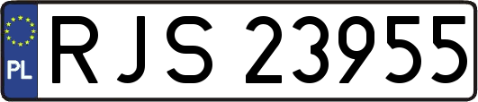 RJS23955