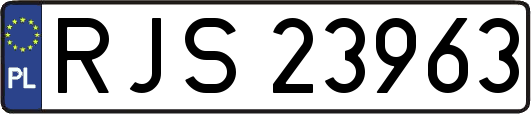 RJS23963