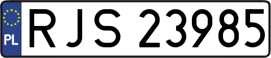 RJS23985