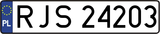 RJS24203