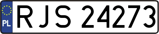 RJS24273