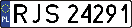 RJS24291