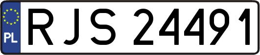 RJS24491