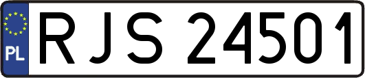 RJS24501