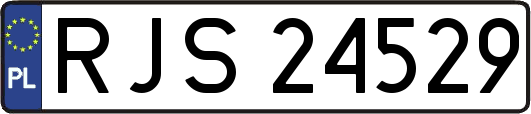 RJS24529