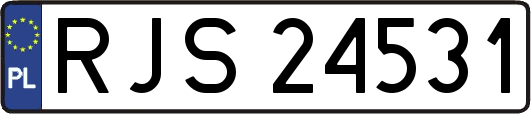 RJS24531