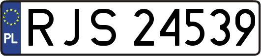 RJS24539