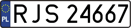 RJS24667