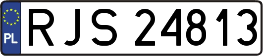 RJS24813