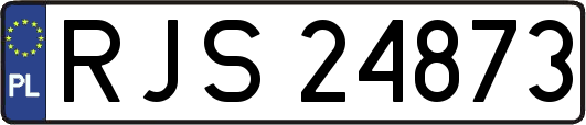 RJS24873