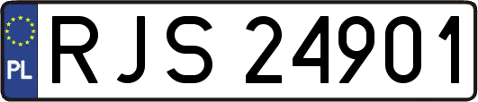 RJS24901