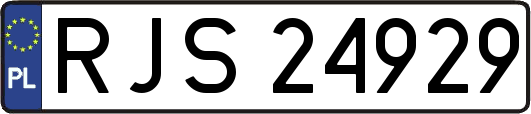 RJS24929