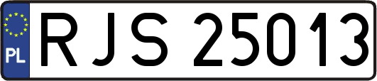 RJS25013