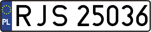 RJS25036