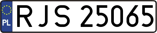 RJS25065