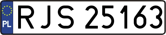 RJS25163