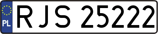 RJS25222