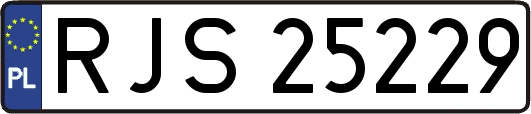 RJS25229