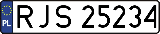 RJS25234
