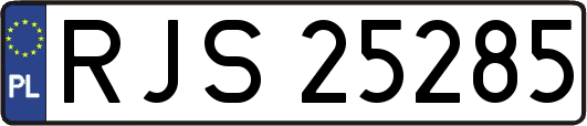 RJS25285