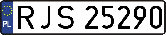 RJS25290