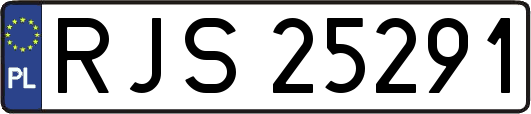 RJS25291