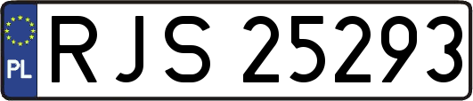 RJS25293