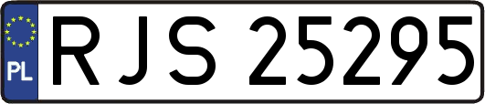 RJS25295