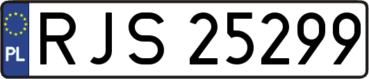 RJS25299