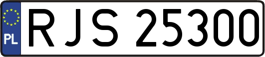 RJS25300