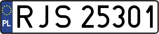 RJS25301