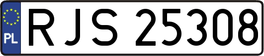 RJS25308
