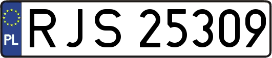 RJS25309