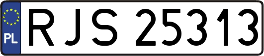 RJS25313