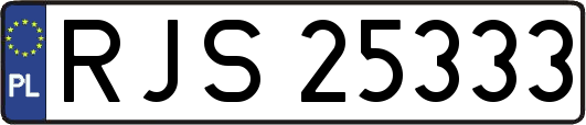 RJS25333