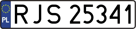 RJS25341