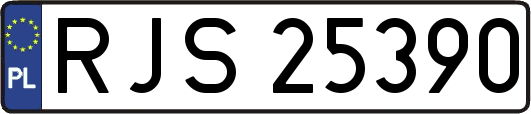 RJS25390