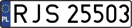 RJS25503