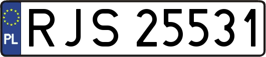 RJS25531