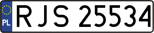 RJS25534