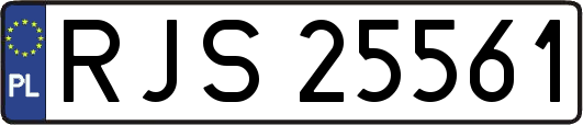 RJS25561