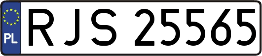 RJS25565
